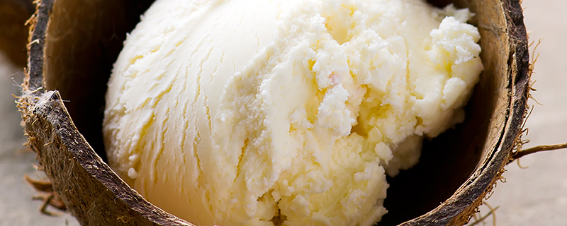 plant based frozen desserts