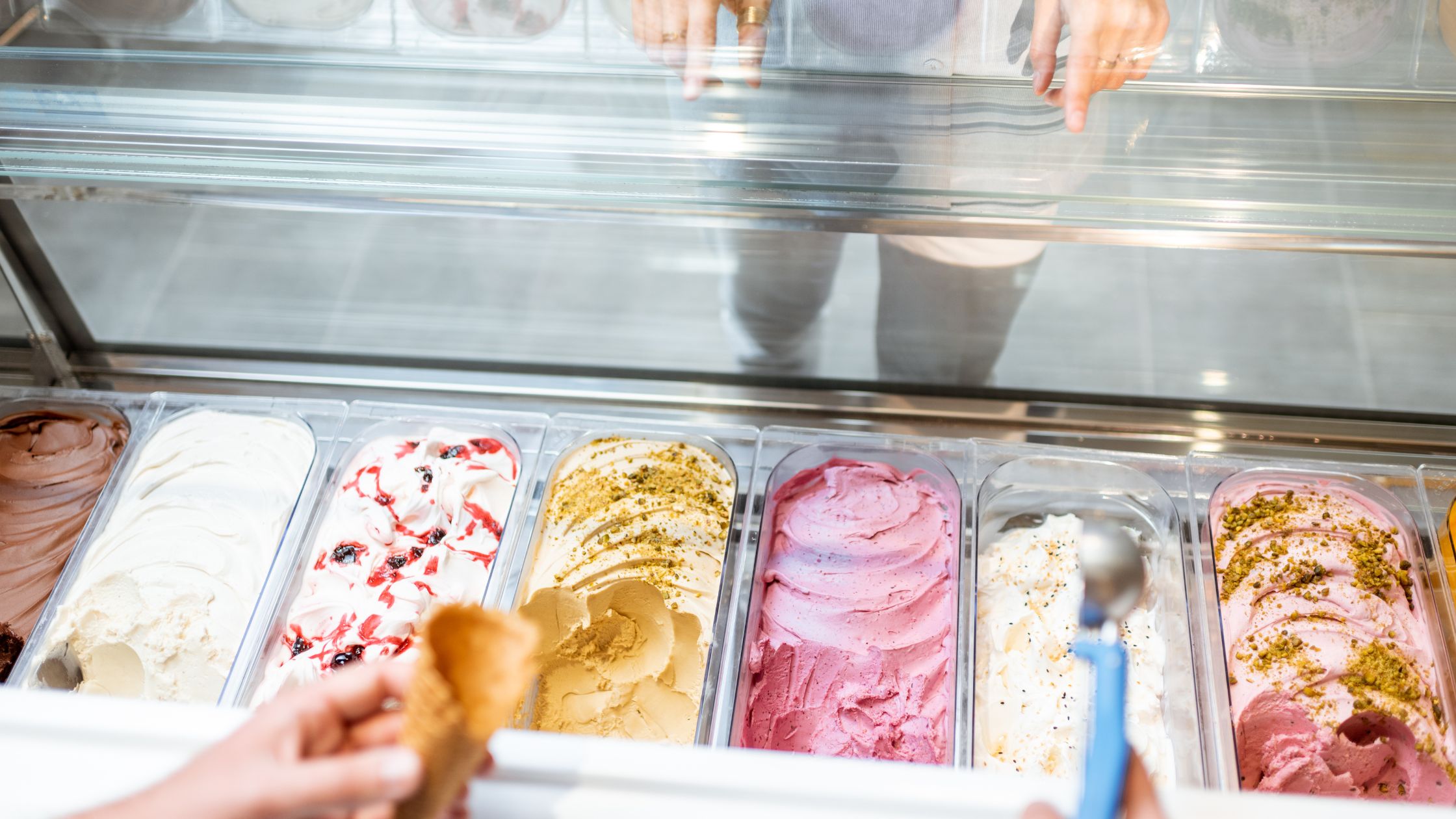start-up program gelato display case