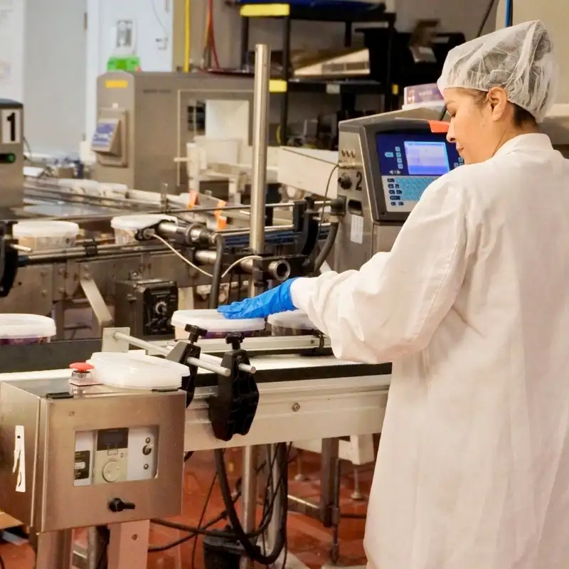 production-line production line at gelato manufacturer usa